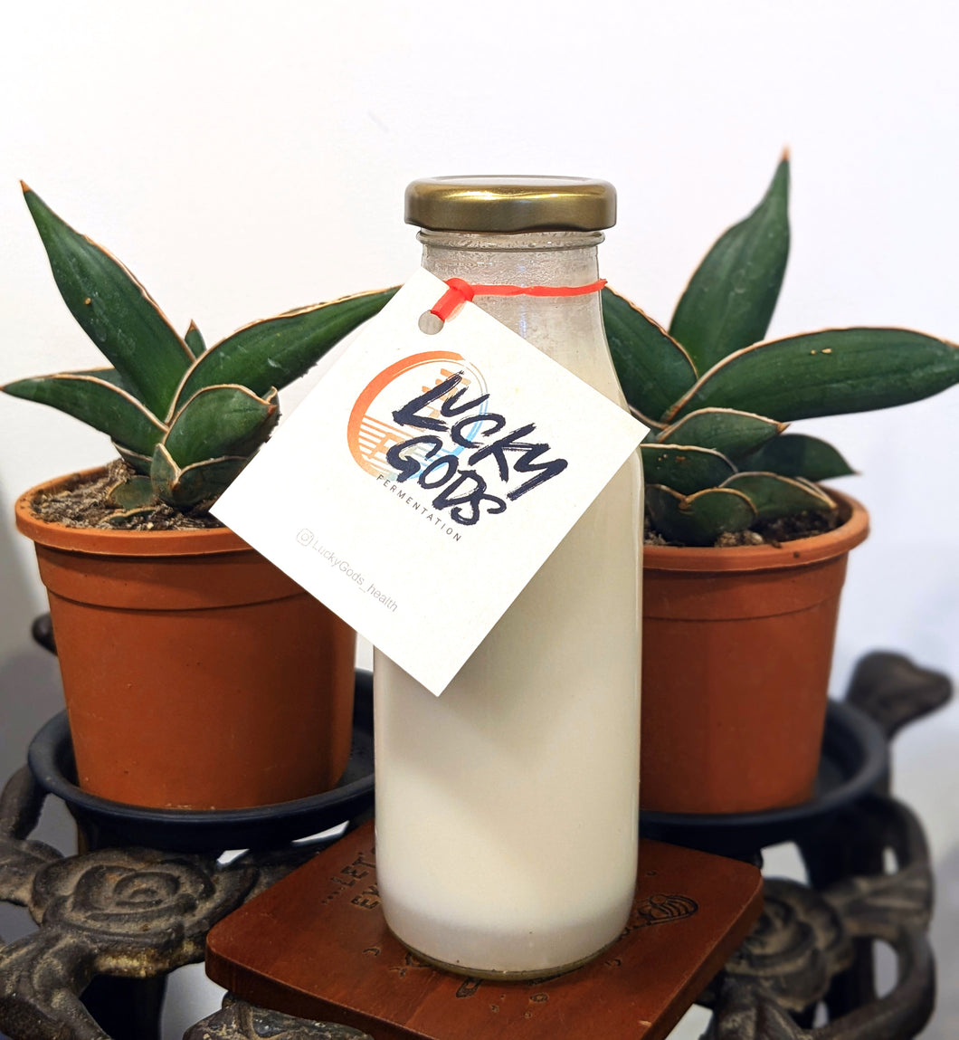 Coconut Milk Kefir - Plain (Bangalore)