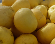 Load image into Gallery viewer, Oro Blanco Grapefruit (Bangalore)