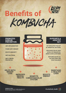 Kombucha - Pumpkin Spice & Vanilla (Anytime-Order)